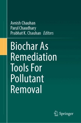 Biochar As Remediation Tools For Pollutant Removal