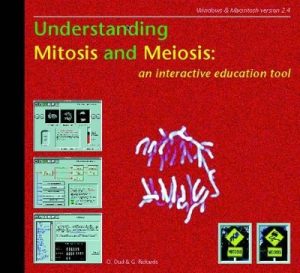 Understanding Mitosis and Meiosis: An Interactive Education Tool