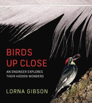 Birds Up Close: An Engineer Explores Their Hidden Wonders