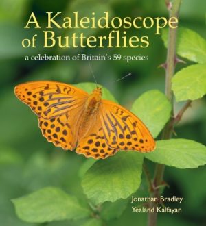A Kaleidoscope of Butterflies: A celebration of Britain’s 59 species