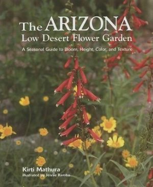The Arizona Low Desert Flower Garden: A Seasonal Guide to Bloom, Height, Color, and Texture