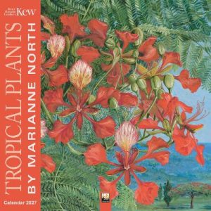Kew Gardens: Tropical Plants by Marianne North Wall Calendar 2027 (Art Calendar)