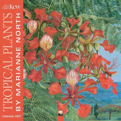 Kew Gardens: Tropical Plants by Marianne North Wall Calendar 2027 (Art Calendar)