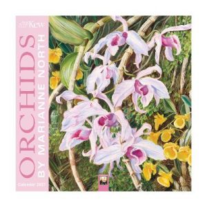 Kew Gardens: Orchids by Marianne North Mini Wall Calendar 2027 (Art Calendar)