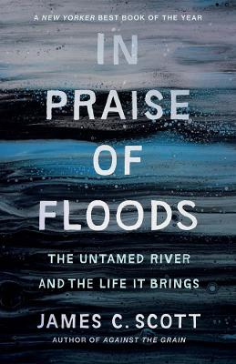In Praise of Floods: The Untamed River and the Life It Brings