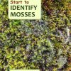 Front cover of Start To Identify Mosses by Faith Anstey