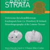 Ordovician rhynchonelliformean brachiopods from Co. Waterford, SE Ireland: Palaeobiogeography of the Leinster Terrane