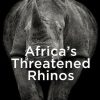 Africa's Threatened Rhinos: A History of Exploitation and Conservation