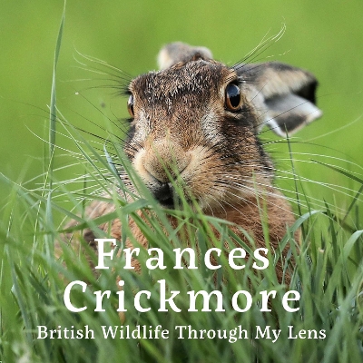 Frances Crickmore: British Wildlife Through My Lens