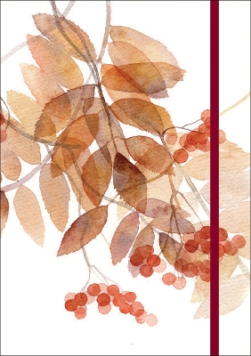 Silver Birch Notebook