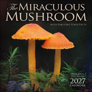 The Miraculous Mushroom 2027 Wall Calendar: With Fabulous Fungi Facts