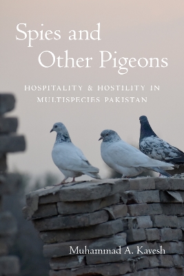 Spies and Other Pigeons: Hospitality and Hostility in Multispecies Pakistan