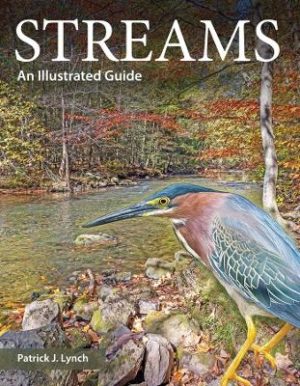 Streams: An Illustrated Guide