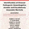 Identification of Unusual Pathogenic Gram-negative Aerobic and Facultatively Anaerobic Bacteria