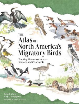 The Atlas of North America’s Migratory Birds: Tracking Movement Across Seasons and Continents