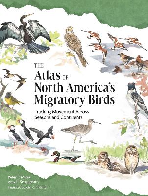 The Atlas of North America’s Migratory Birds: Tracking Movement Across Seasons and Continents