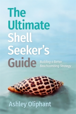 The Ultimate Shell Seeker’s Guide: Building a Better Beachcombing Strategy
