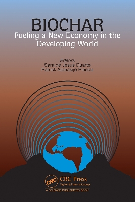 Biochar: Fueling a New Economy in the Developing World