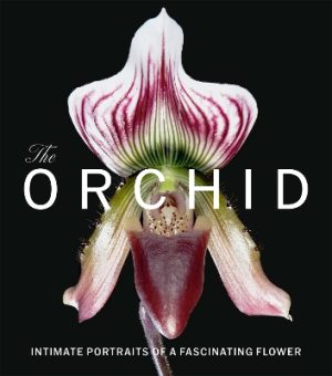 The Orchid: Intimate Portraits of a Fascinating Flower