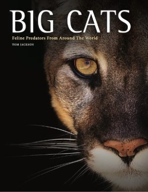 Big Cats: Feline Predators From Around The World