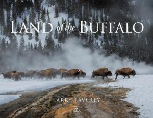Land of the Buffalo