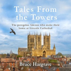 Tales From The Towers: The peregrine falcons who make their home at Lincoln Cathedral