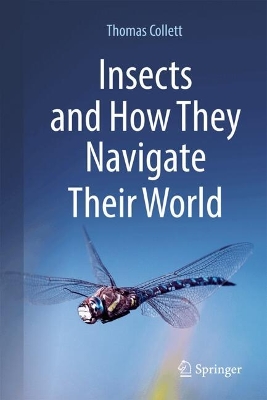 Insects and How They Navigate Their World