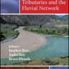 River Confluences, Tributaries and the Fluvial Network
