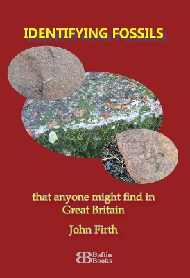 Identifying Fossils: that anyone might find in Great Britain