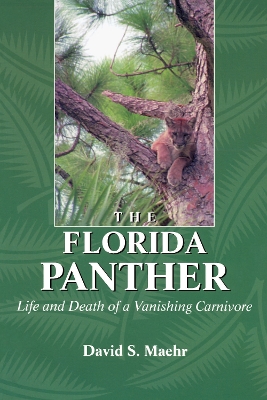 The Florida Panther: Life And Death Of A Vanishing Carnivore