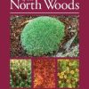 Mosses & Liverworts of the North Woods: A Handy Field Reference to 81 Species