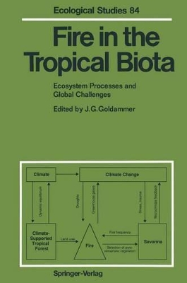 Fire in the Tropical Biota: Ecosystem Processes and Global Challenges