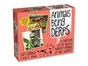 Animals Being Derps 2027 Day-to-Day Calendar