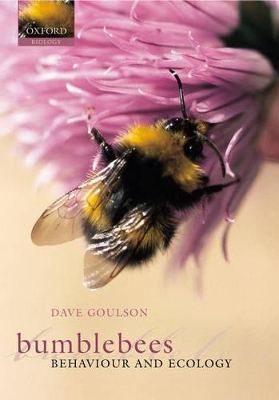 Bumblebees