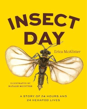 Insect Day: A Story of 24 Hours and 24 Hexapod Lives