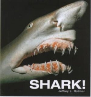 Shark!