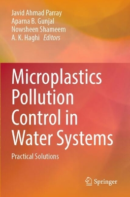 Microplastics Pollution Control in Water Systems: Practical Solutions