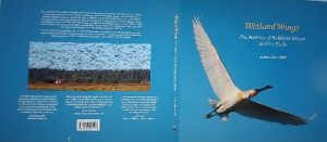 Wetland Wings: The History of Holkham Marsh and its Birds