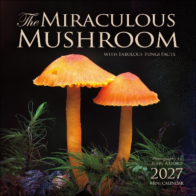 The Miraculous Mushroom 2027 Mini Wall Calendar: With Fabulous Fungi Facts