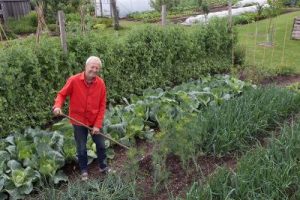 Charles Dowding's Calendar of Vegetable Sowing Dates 2027