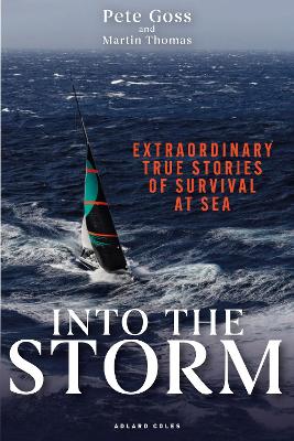 Into the Storm: Extraordinary true stories of survival at sea