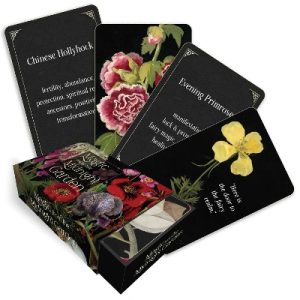 Magic from the Midnight Garden: Dark Beauty, Mystery, and Wisdom (36 Full-Color, Gilt-Edged Cards)