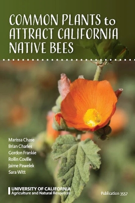 Common Plants to Attract California Native Bees