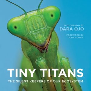 Tiny Titans: The Silent Keepers of Our Ecosystem