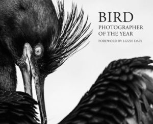 Bird Photographer of the Year 2026