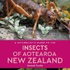 A Naturalist's Guide To The Insects Of Aotearoa New Zealand