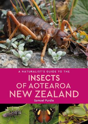 A Naturalist's Guide To The Insects Of Aotearoa New Zealand