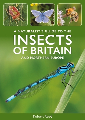 A Naturalist's Guide to the Insects of Britain and North-West Europe