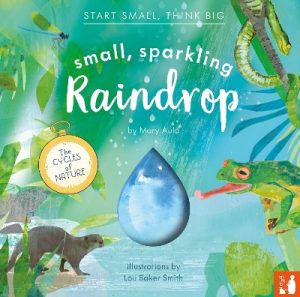 Small, Sparkling Raindrop: A fact-filled picture book about the water cycle (ages 4-8)