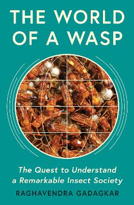 The World of a Wasp: The Quest to Understand a Remarkable Insect Society